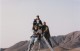 Thumbs/tn_Wstenrose-04.jpg