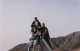 Thumbs/tn_Wstenrose-05.jpg